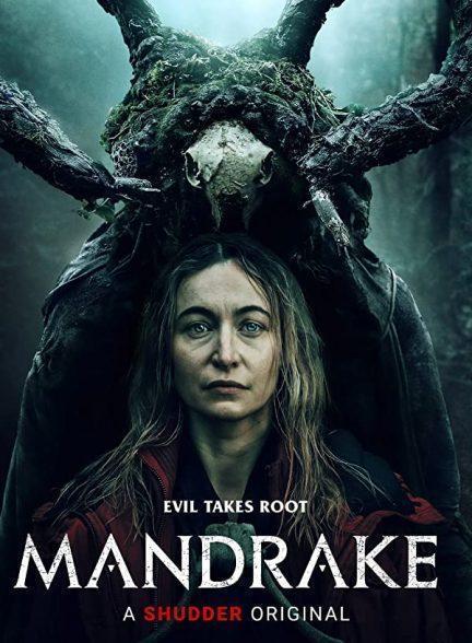 دانلود فیلم افسونگر شب (Mandrake 2022)